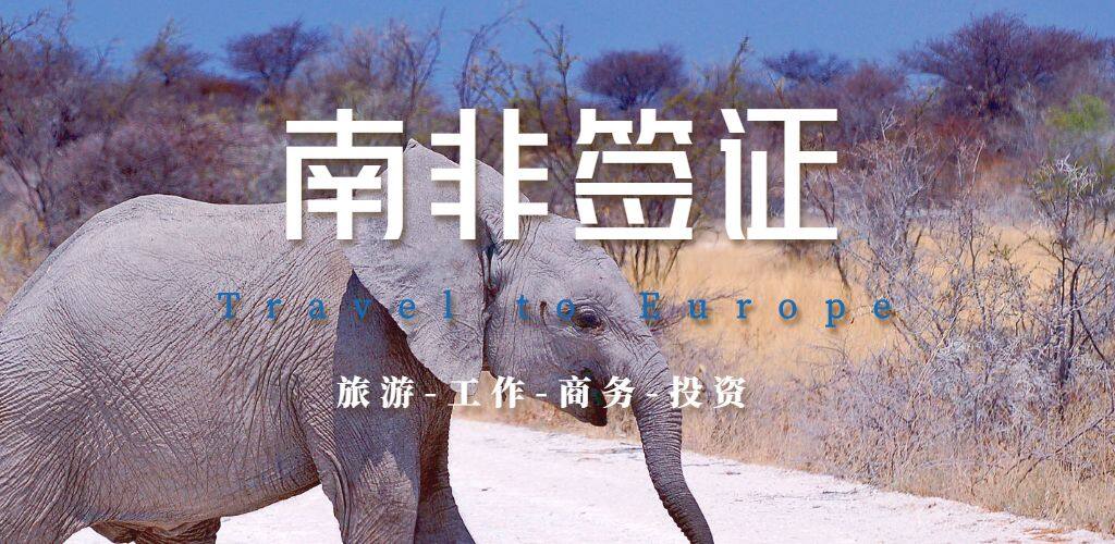 南非签证
